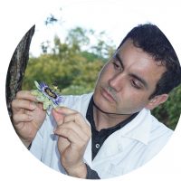 João Beles-naturopatia-medicina-alternativa-plantas João Beles-naturopatia-medicina-alternativa-plantas