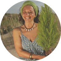avani-ancok-natureza-eco-floresta vamos plantar uma árvore avani-ancok-natureza-eco-floresta vamos plantar uma árvore