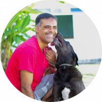 fernando ferreira ecosistema alimentação mahatma fernando ferreira ecosistema alimentação mahatma