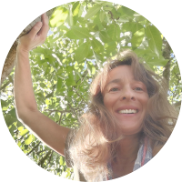 MILENE domingues autora dia da arvore natureza livro MILENE domingues autora dia da arvore natureza livro